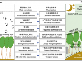 渦度相關通量介紹與數(shù)據(jù)處理方法